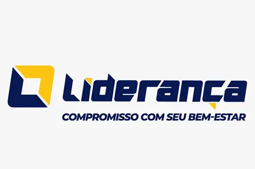 liderança-500
